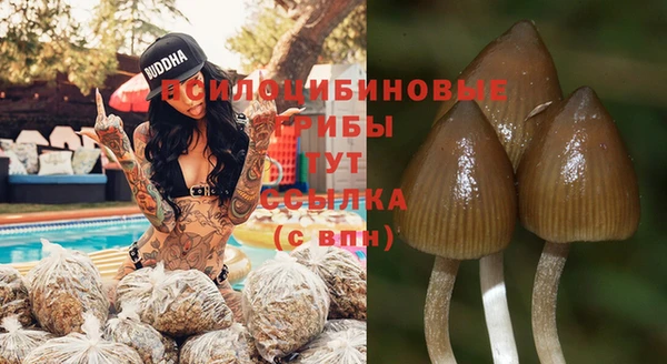 гашишное масло Белокуриха
